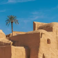 عکس "در پناهٍ نخل" اثر مونا حقی