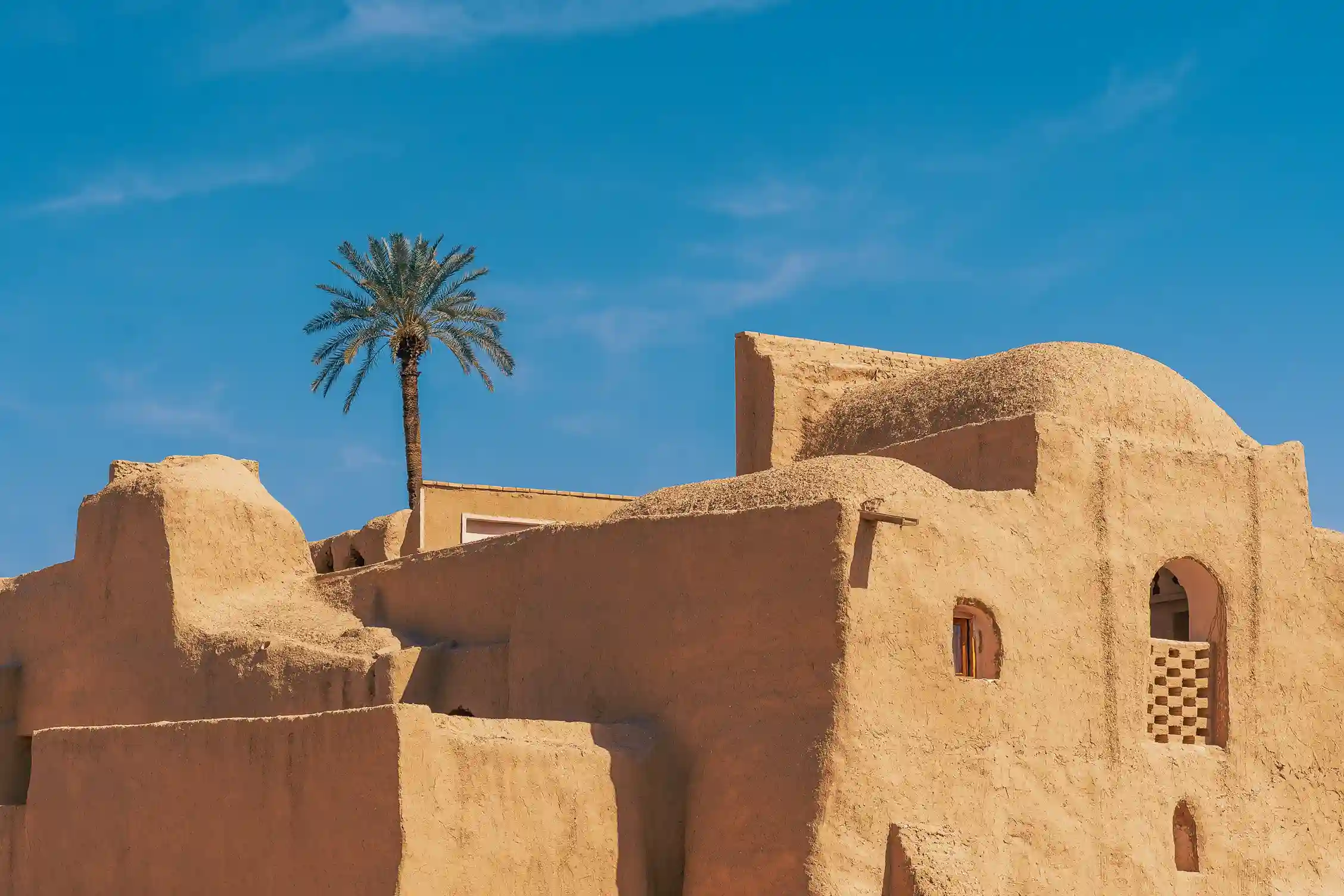 عکس "در پناهٍ نخل" اثر مونا حقی