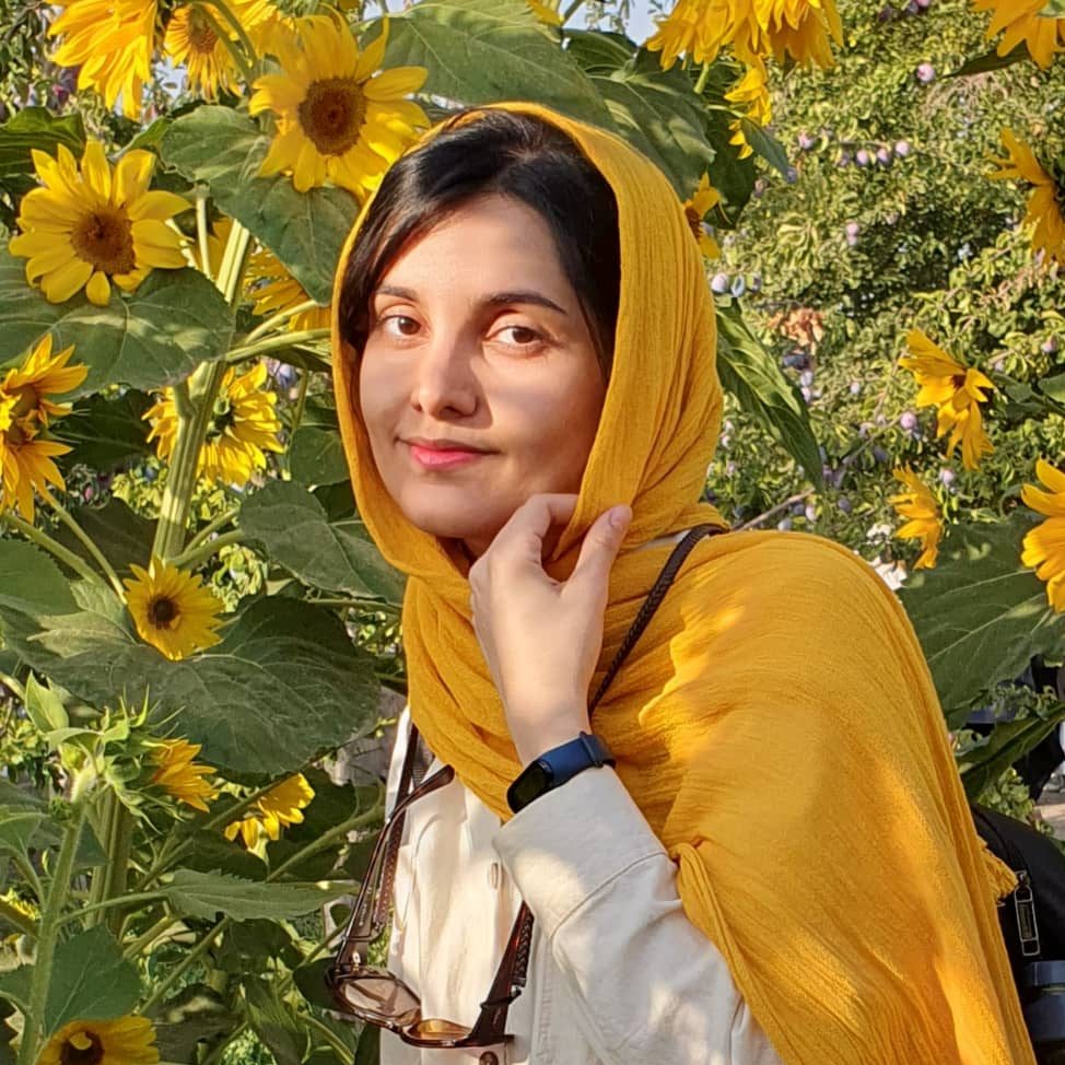 نغمه ساکن