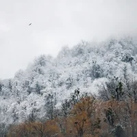 عکس "پائیزٍ زمستان" اثر عماد معصومی