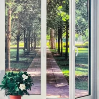 عکس "پنجره امید" اثر رز شاندیزی