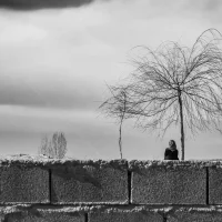 عکس "سایه ای که نیست" اثر شیما تبریزی