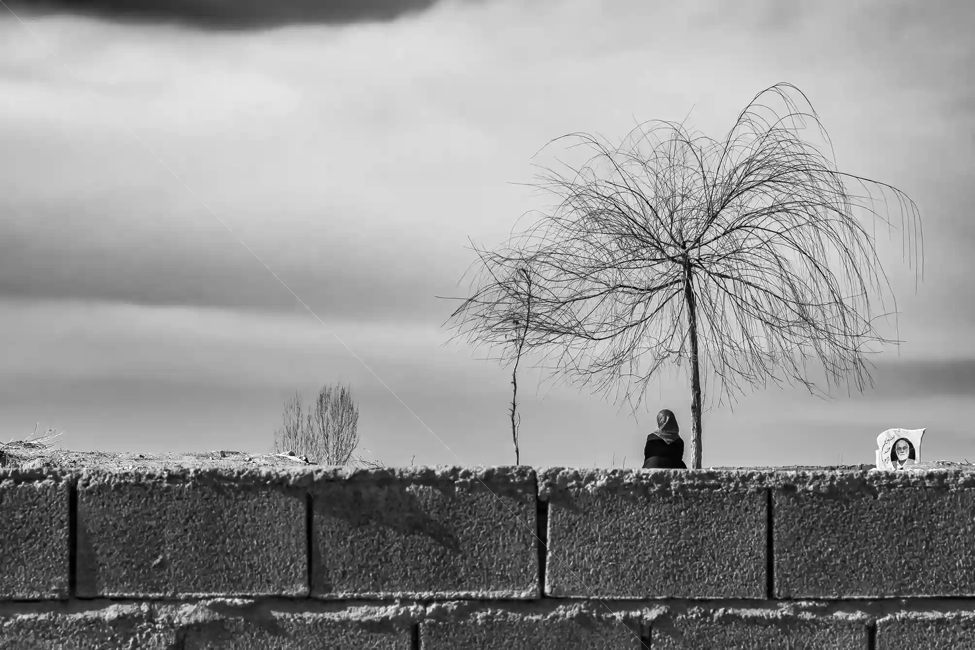 عکس "سایه ای که نیست" اثر شیما تبریزی